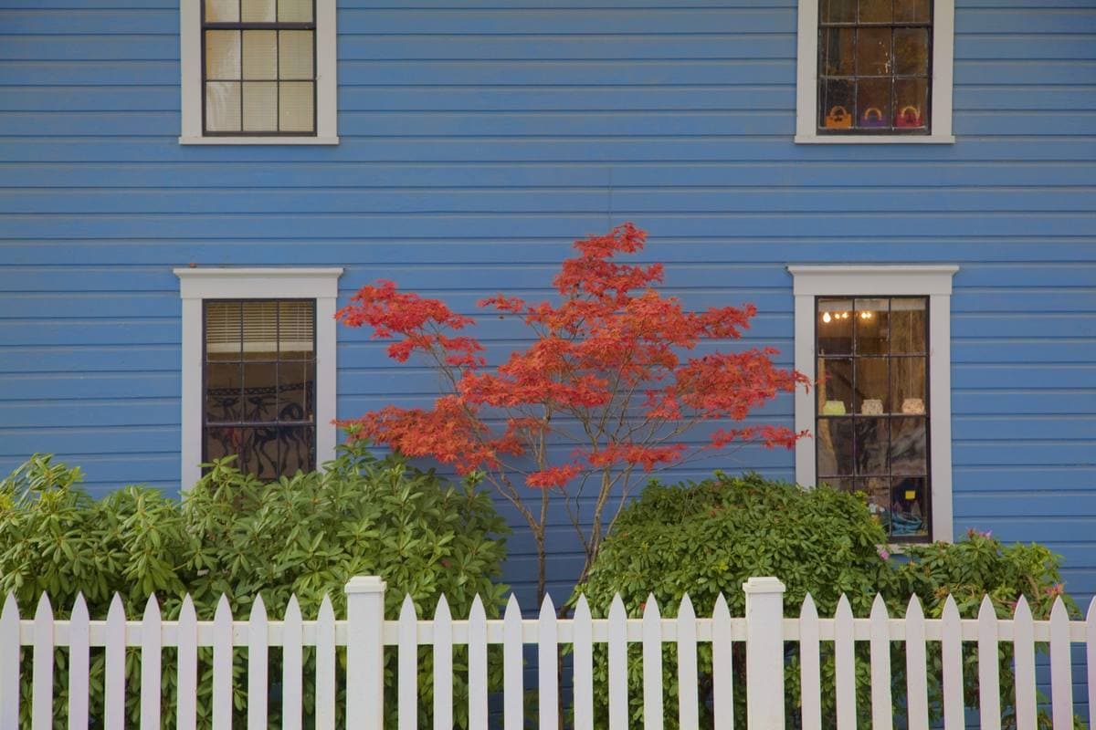 A coastal colonial home with painted clapboard siding in Quincy, Massachusetts